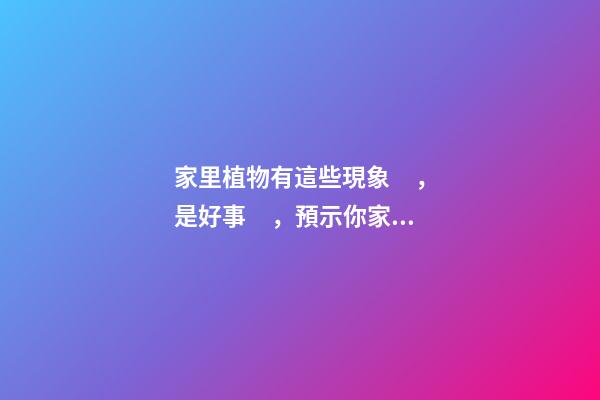家里植物有這些現象，是好事，預示你家要發大財了！